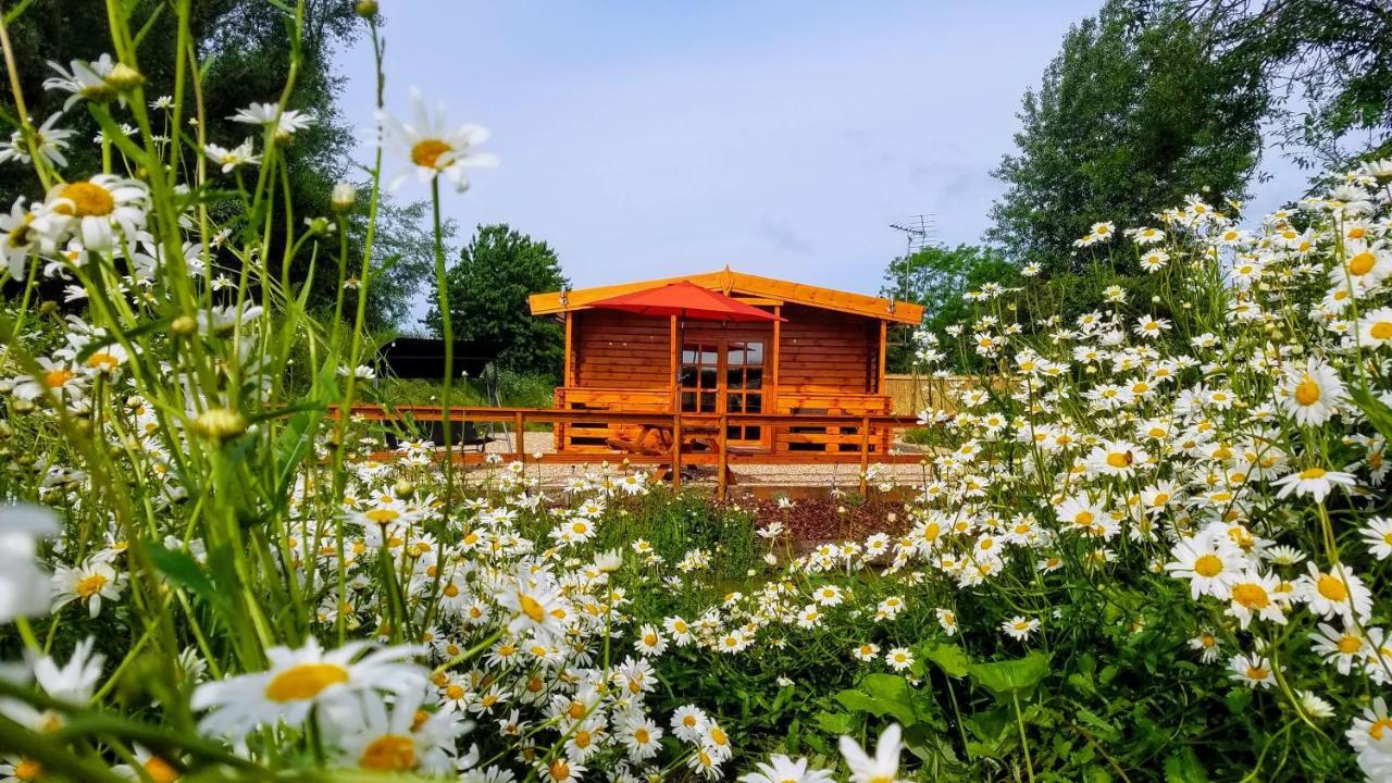 East Pool Cabin Линкълн Екстериор снимка